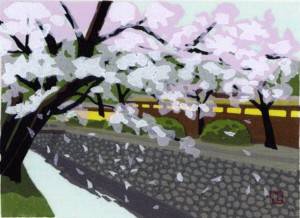 Ido_Masao_cherry_blossoms