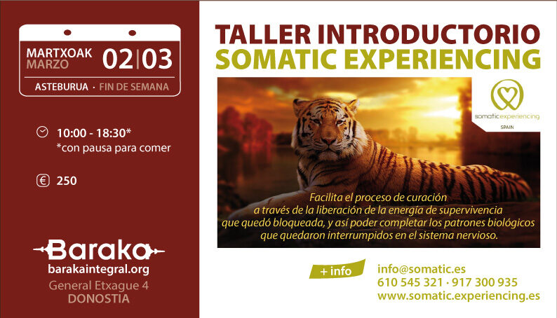 Baraka Taller introductorio de Somatic Experiencing