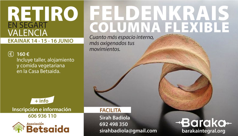 RETIRO DE FELDENKRAIS EN VALENCIA