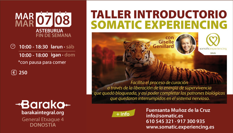 Taller introductorio de SOMATIC EXPERIENCING