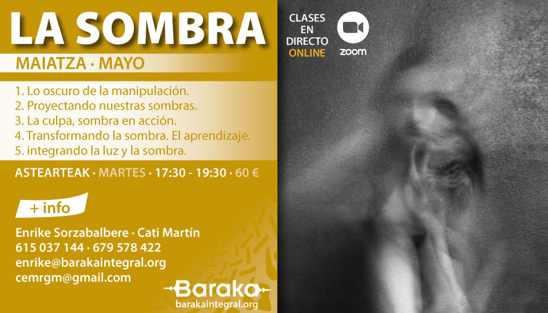 TALLER DE ATENCIÓN Y PROCESOS: LA SOMBRA