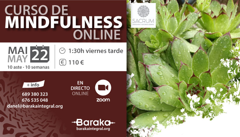 CURSO DE MINDUFULNESS ONLINE
