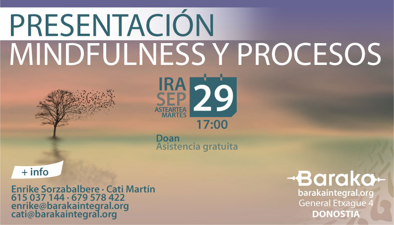 PRESENTACIÓN MINDFULNESS Y PROCESOS