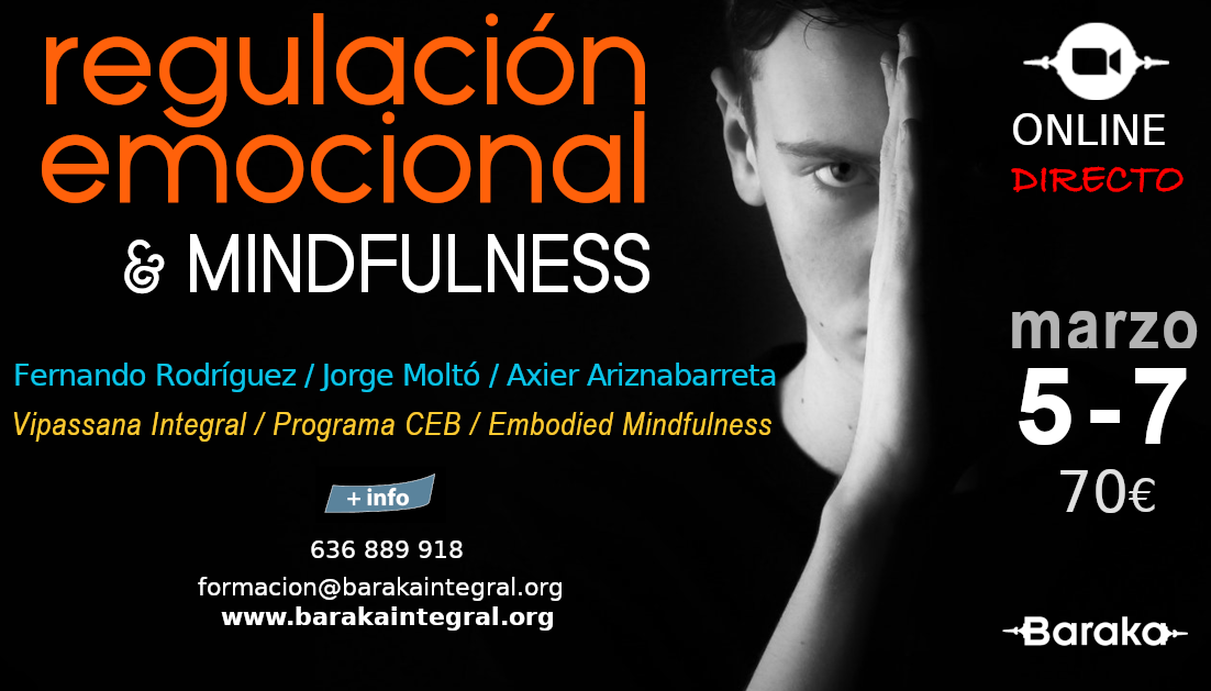 Regulación emocional. Taller de formación continua.