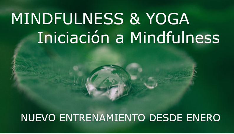 entrenamiento mindfulness y yoga