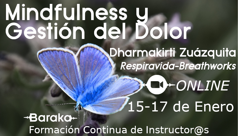 mindfulness y gestion del dolor