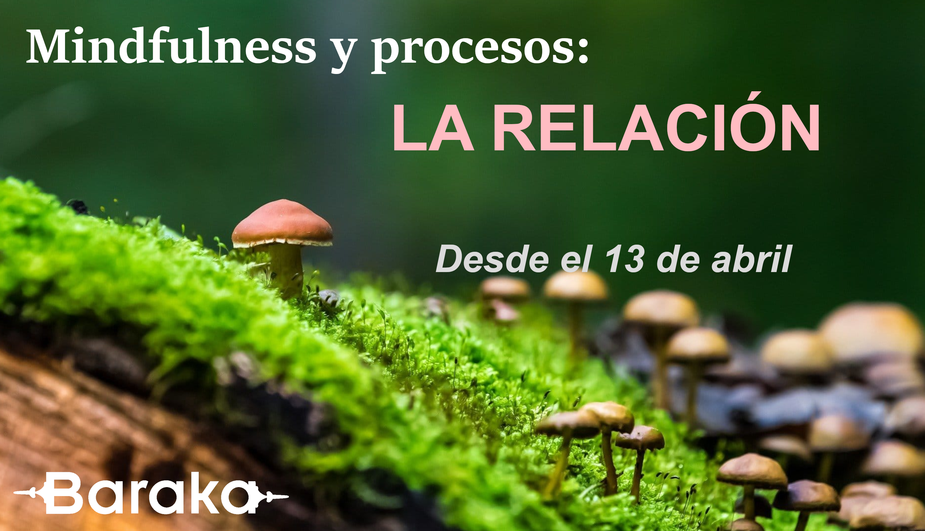 Mindfulness y procesos: la relación