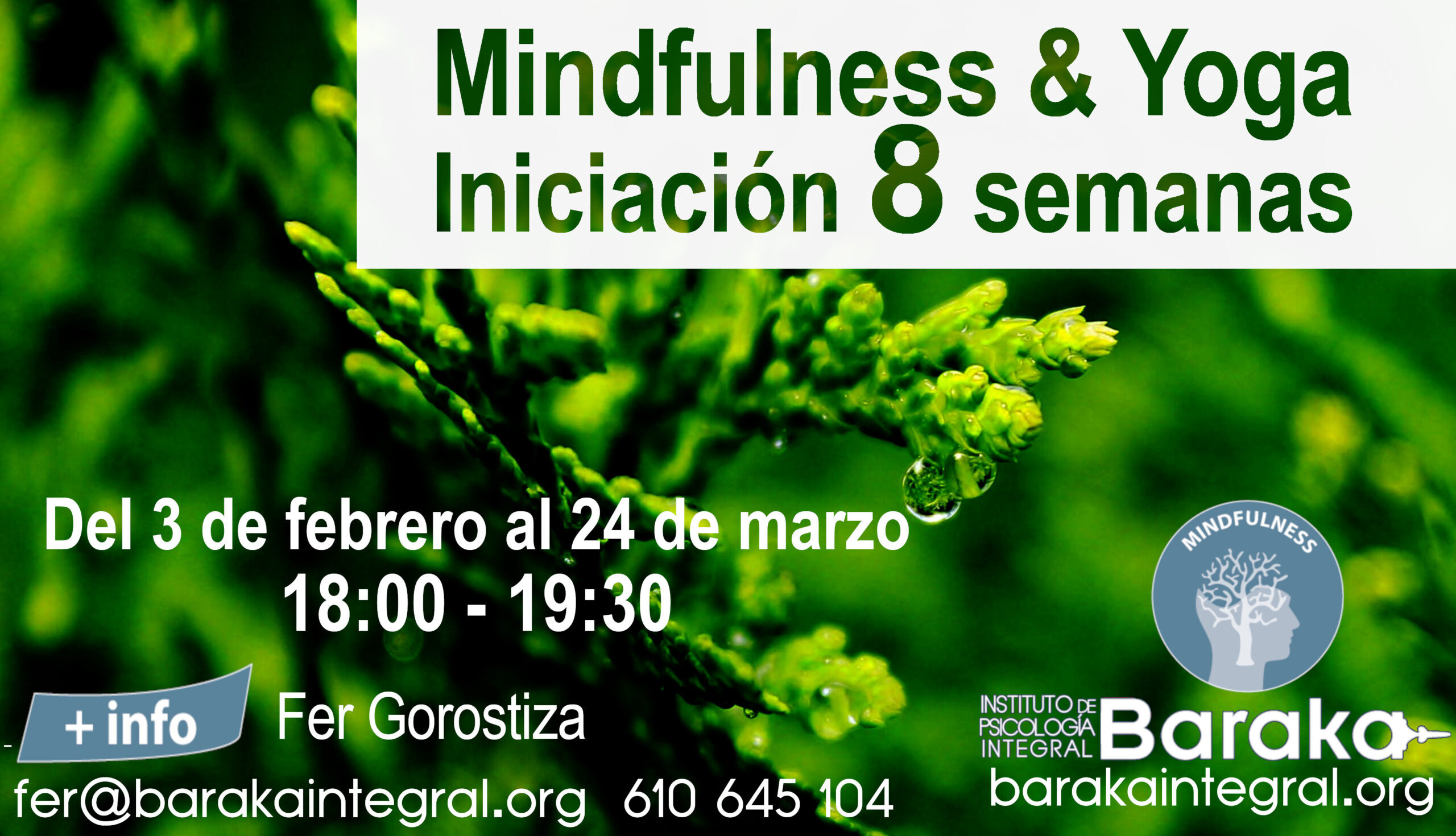 mindfulness baraka 8 semanas