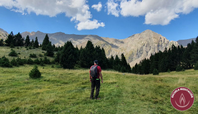 meditacion barakaret trav