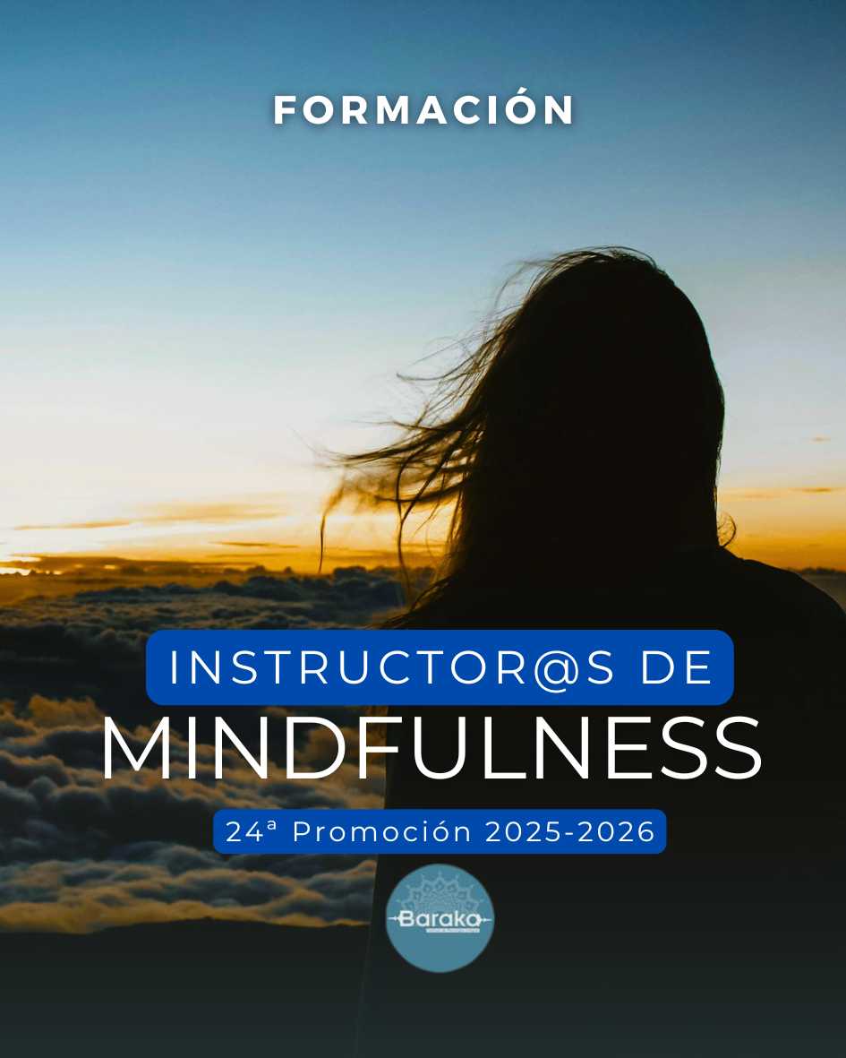 cartel formacion mf 26 27